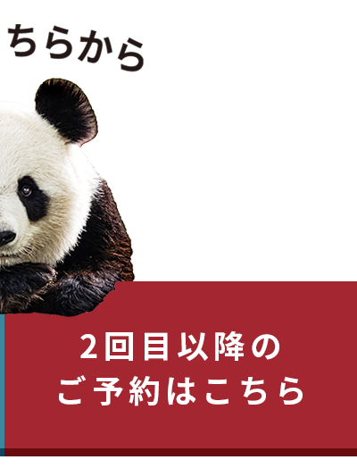 ご予約はこちら