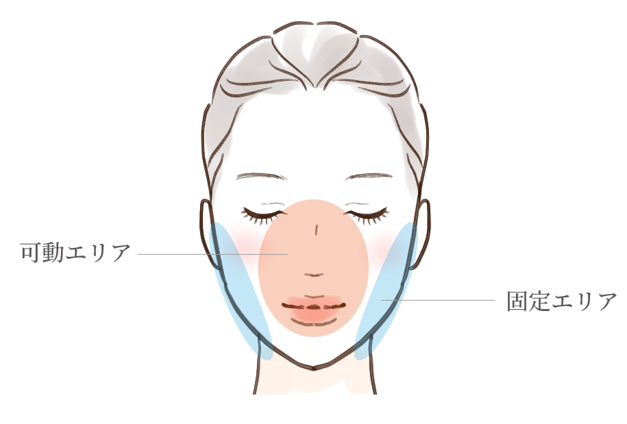 顔の内側と外側のイメージ図